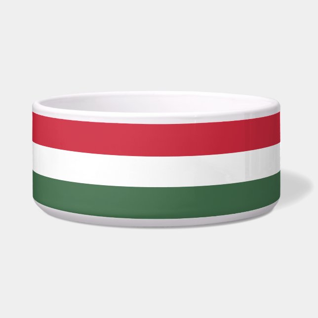 Hungarian Flag (Front)