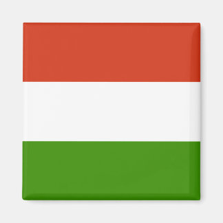 Hungarian Flag Magnet
