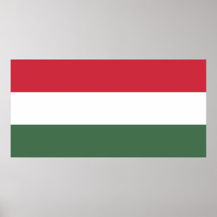 Hungarian Flag Poster