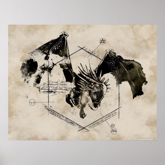 Hungarian Horntail Dragon Poster (Front)