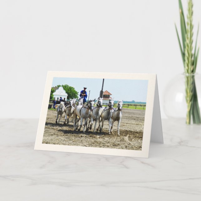 Hungarian horse riding card (Front)
