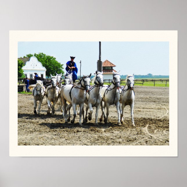 Hungarian horse riding poster (Front)