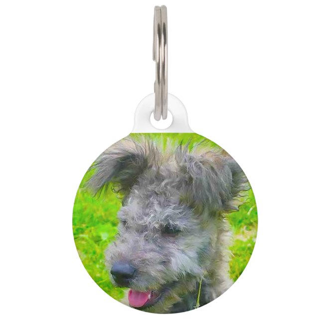 Hungarian Pumi Dog. Pet Tag (Front)