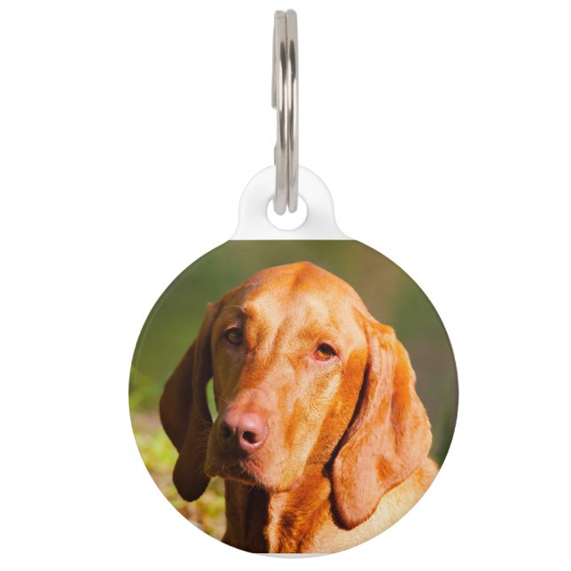 Hungarian Vizla Pet Tag (Front)