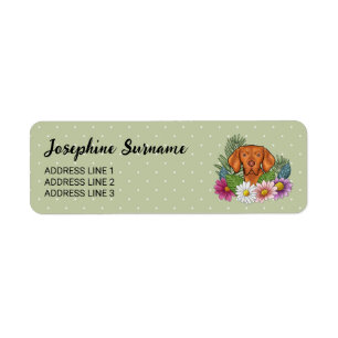 Hungarian Vizsla And Colourful Summer Flowers Gree