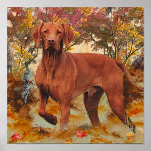 Hungarian Vizsla art Throw Pillow Glass Coaster C Poster