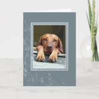Hungarian Vizsla Blank Card 002