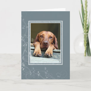 Hungarian Vizsla Blank Card 002