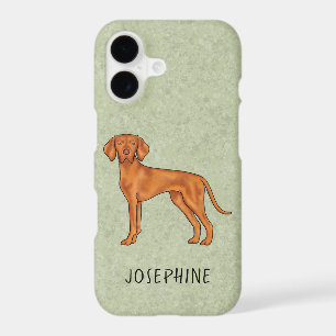 Hungarian Vizsla Cute Pointer Dog With Name Green