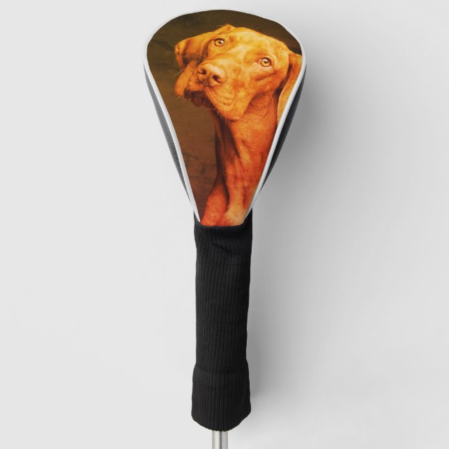 Hungarian Vizsla Golf Head Cover (Front)