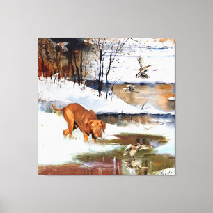 Hungarian Vizsla, hunting ducks in winter    Canvas Print