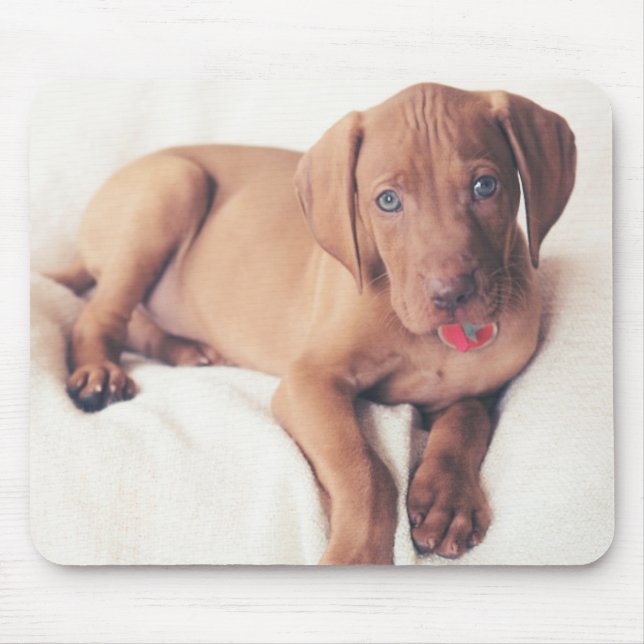 Hungarian Vizsla Puppy Mouse Pad (Front)