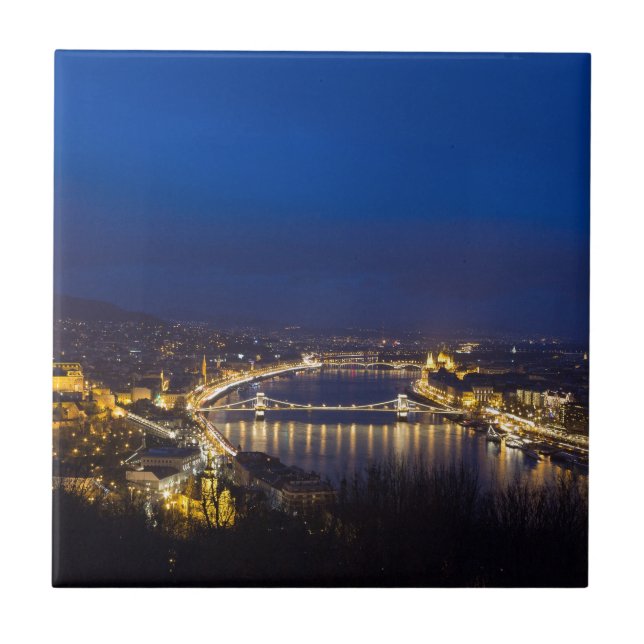 Hungary Budapest at night panorama Tile (Front)