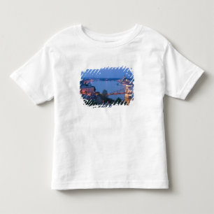 HUNGARY, Budapest: Szechenyi (Chain) Bridge, 2 Toddler T-Shirt