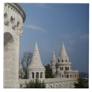 Hungary, capital city of Budapest. Buda, Castle Tile