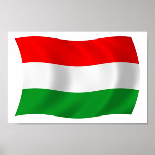 Hungary Flag Poster Print