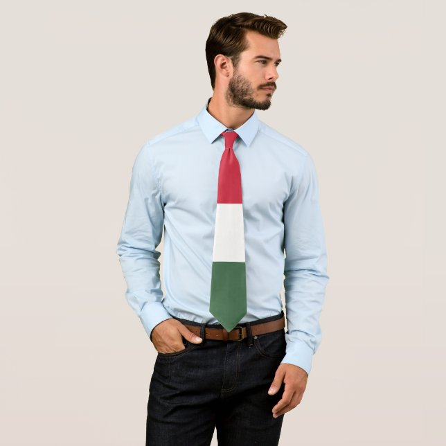 Hungary flag tie (In Situ)