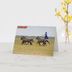 Hungary horseman and horses card