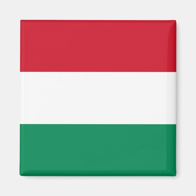 Hungary (Hungarian) Flag Magnet (Front)