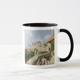 HUNGARY, Lake Balaton Region, SUMEG: Sumeg Mug
