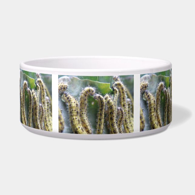 Hungry Cabbage White Caterpillars Dog Bowl (Front)