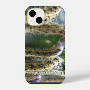 Hungry Cabbage White Caterpillars iPhone 14 Case