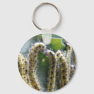 Hungry Cabbage White Caterpillars Keychain