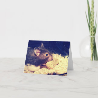 Hungry Hamster Card