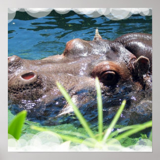 Hungry Hippo Poster