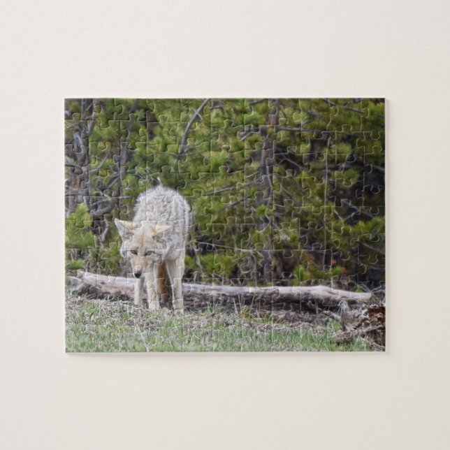 Hungry Like a Wolf - Yellowstone - 8x10 - 110 pcs Jigsaw Puzzle (Horizontal)