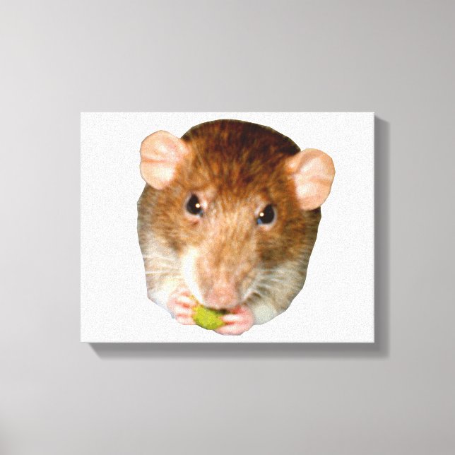 Hungry Rat Canvas Print (Front)