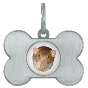 Hungry Rat Pet Tag