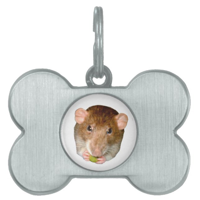 Hungry Rat Pet Tag (Front)