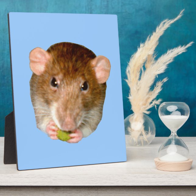 Hungry Rat Plaque (Side)