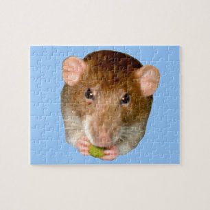 Hungry Rat Puzzle