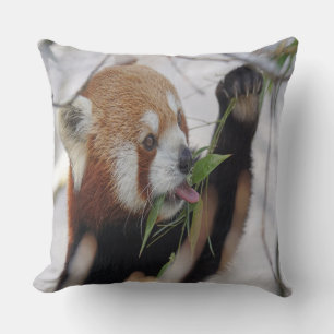 Hungry Red Panda Cushion