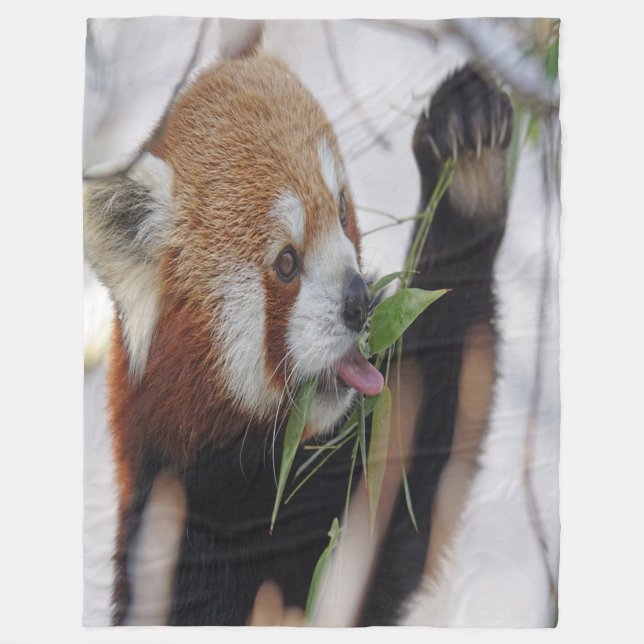 Hungry Red Panda Fleece Blanket (Front)