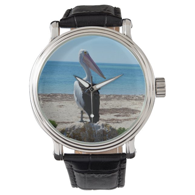 Hungry Seaside Pelican Waiting, Watch (Front)