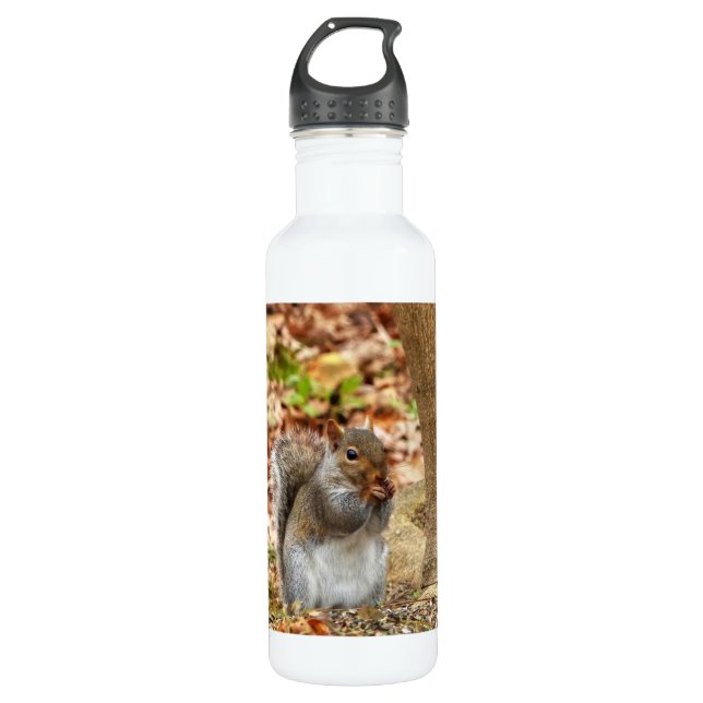 Hungry Squirrel 710 Ml Water Bottle (Front)
