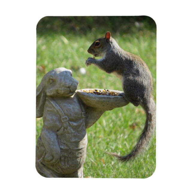 Hungry Squirrel and Bunny Statue Magnet (Vertical)