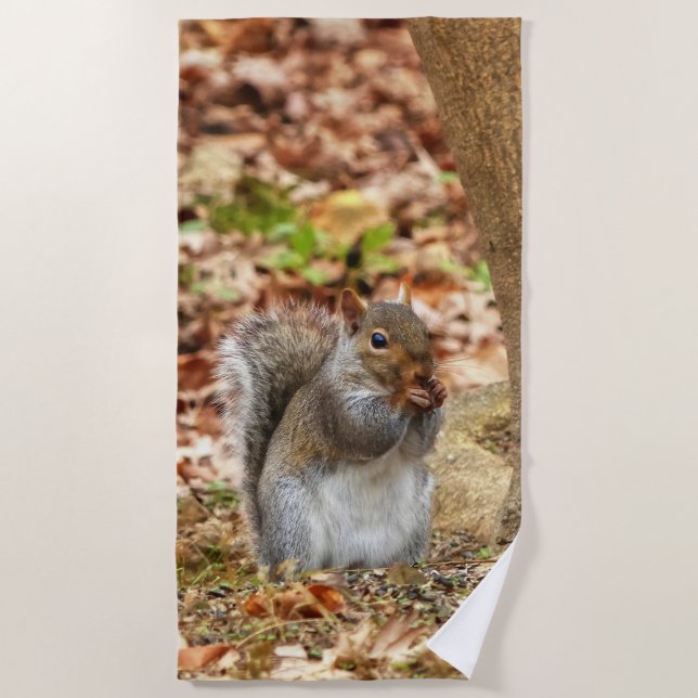 Hungry Squirrel Beach Towel (Front)