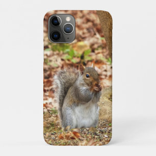 Hungry Squirrel Case-Mate iPhone Case