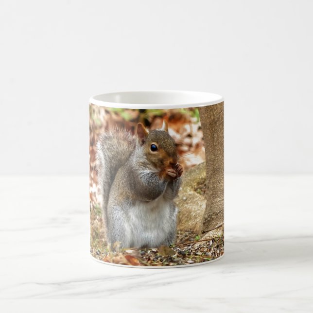 Hungry Squirrel Coffee Mug (Center)