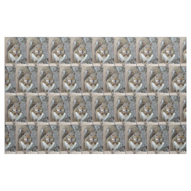 Hungry Squirrel Fabric (Fat Quarter)
