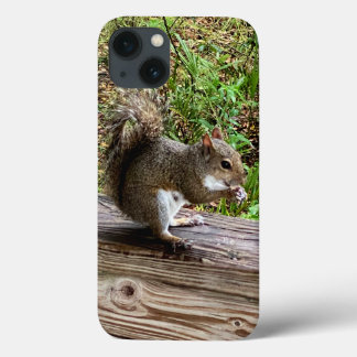 Hungry Squirrel iPhone Cases