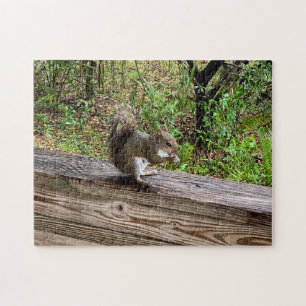 Hungry Squirrel Jigsaw Puzzle