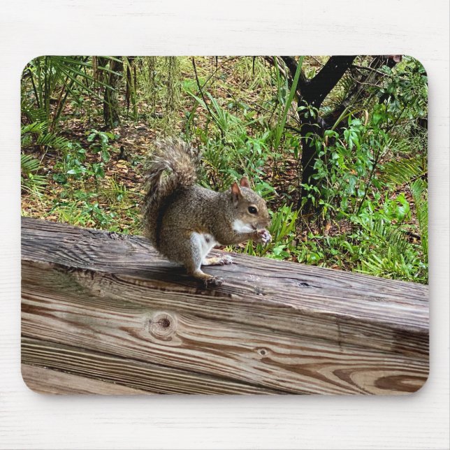 Hungry Squirrel Mouse Pad (Front)