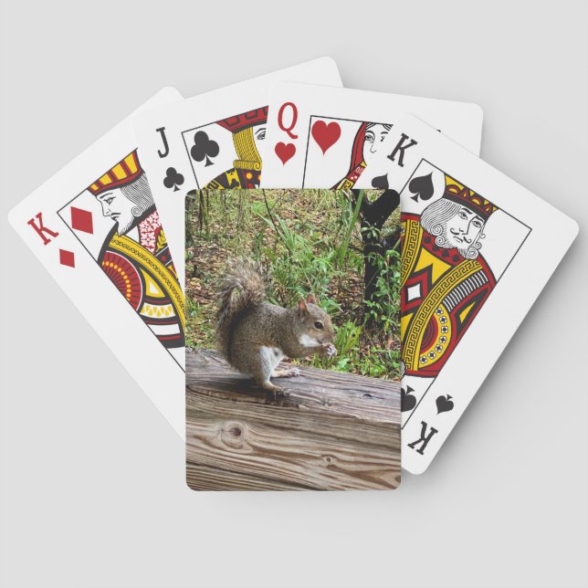 Hungry Squirrel Playing Cards (Back)