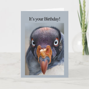 Hungry Vulture birthday card