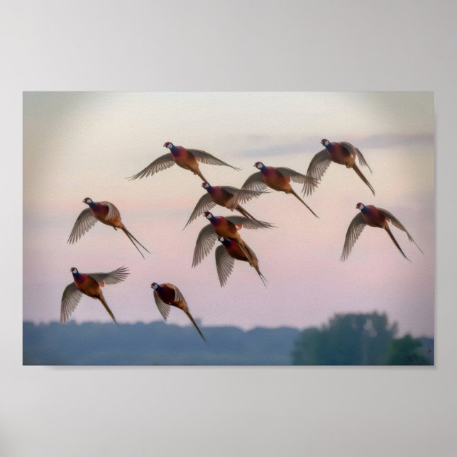 Hunt begin season bounty hunter poster (Front)